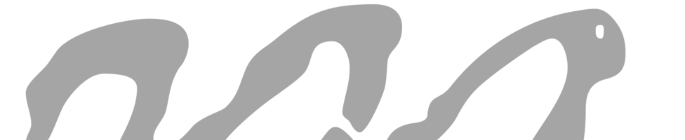 Shinntype background