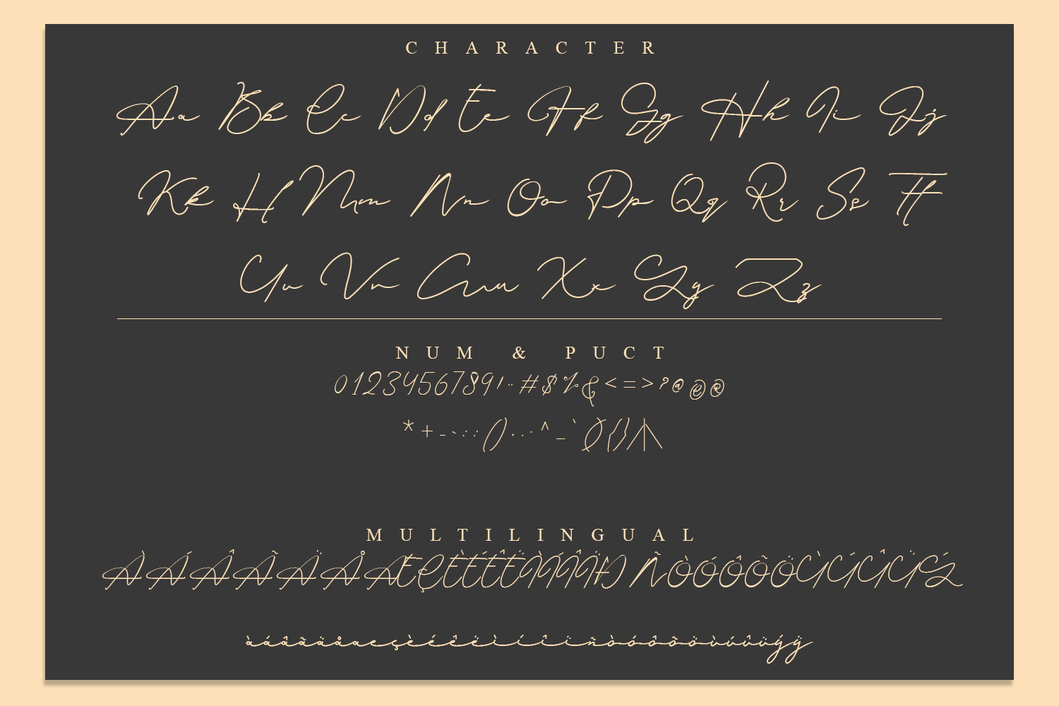 common signature style fonts