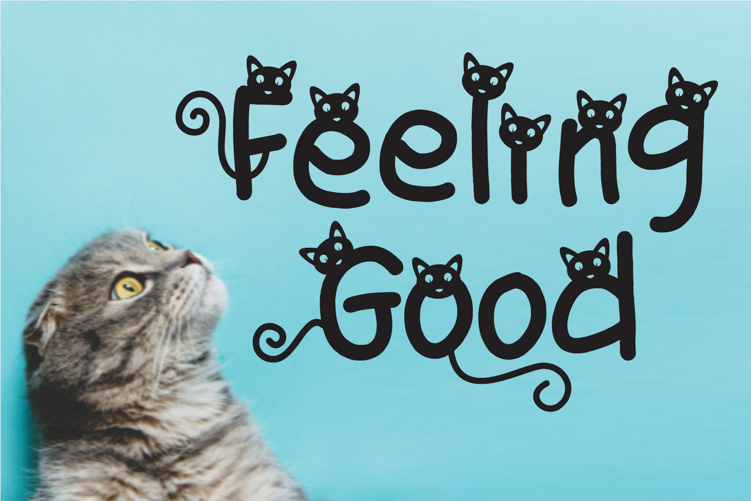 ◆Cat◆ Simple Cat Font | Girinesia | FontSpace