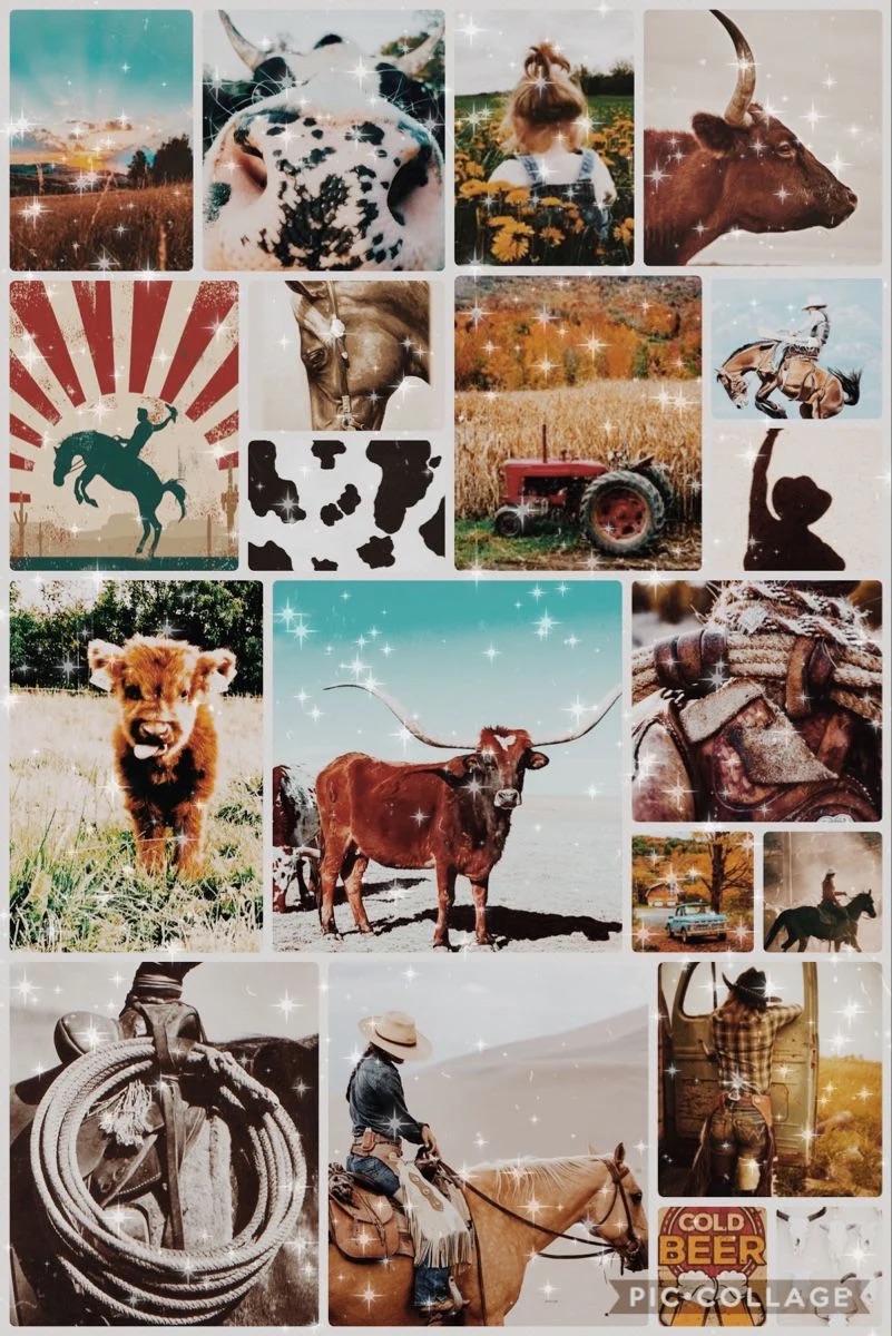 Country | Collection | FontSpace