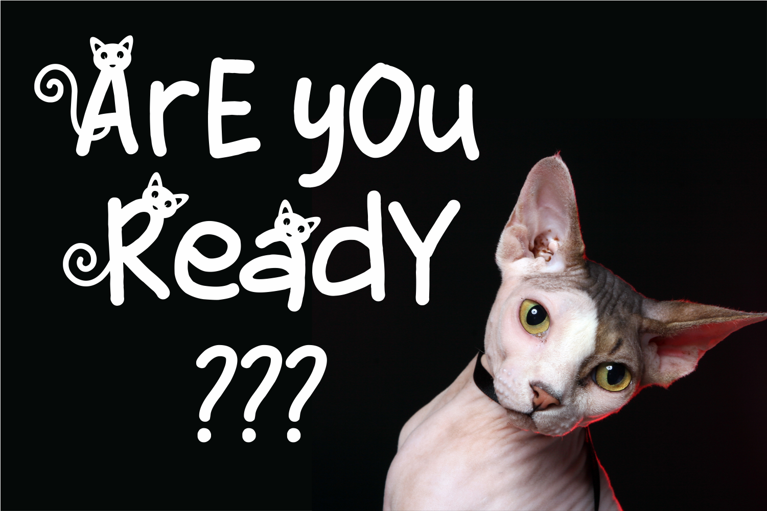 Simple Cat Font | Girinesia | FontSpace