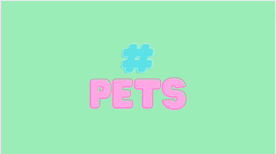 Pet 