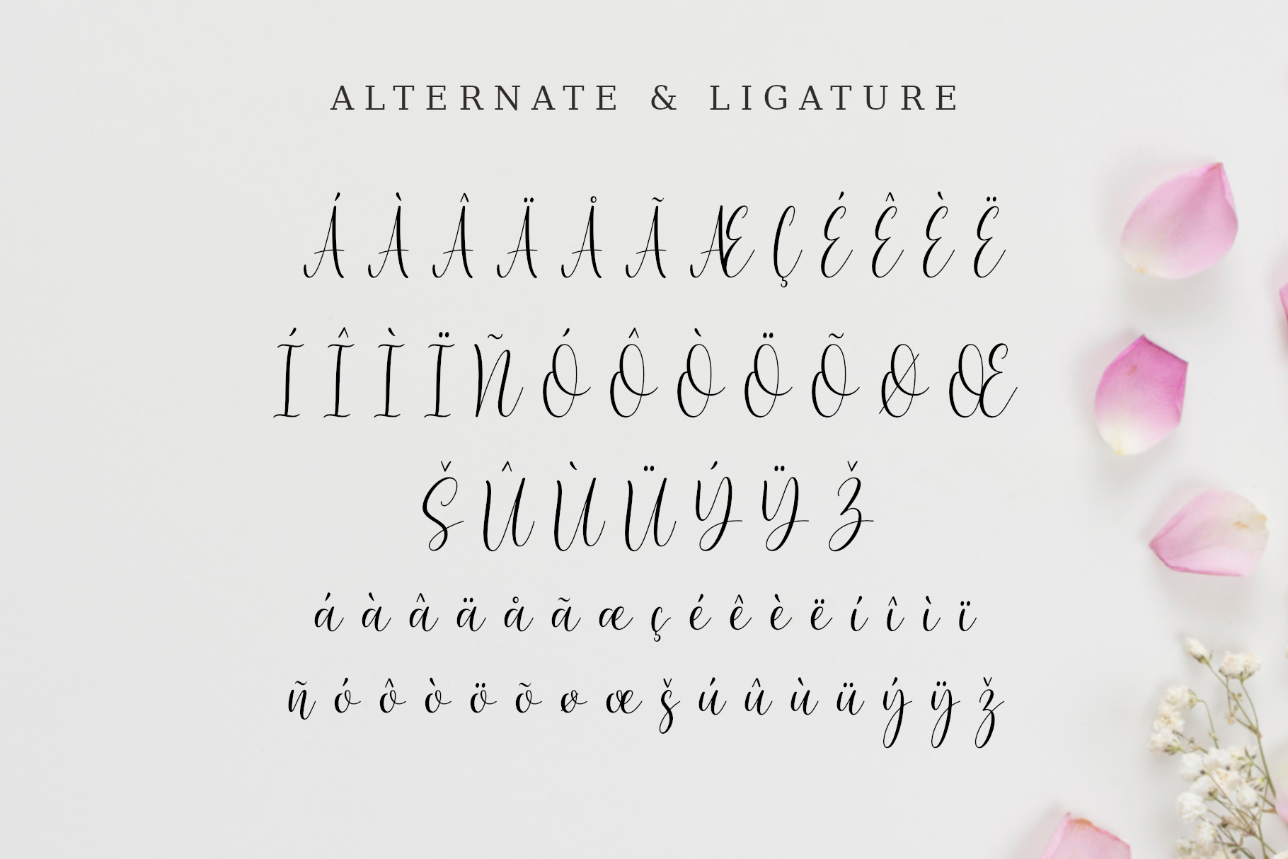 Rasida Font Av Type Fontspace