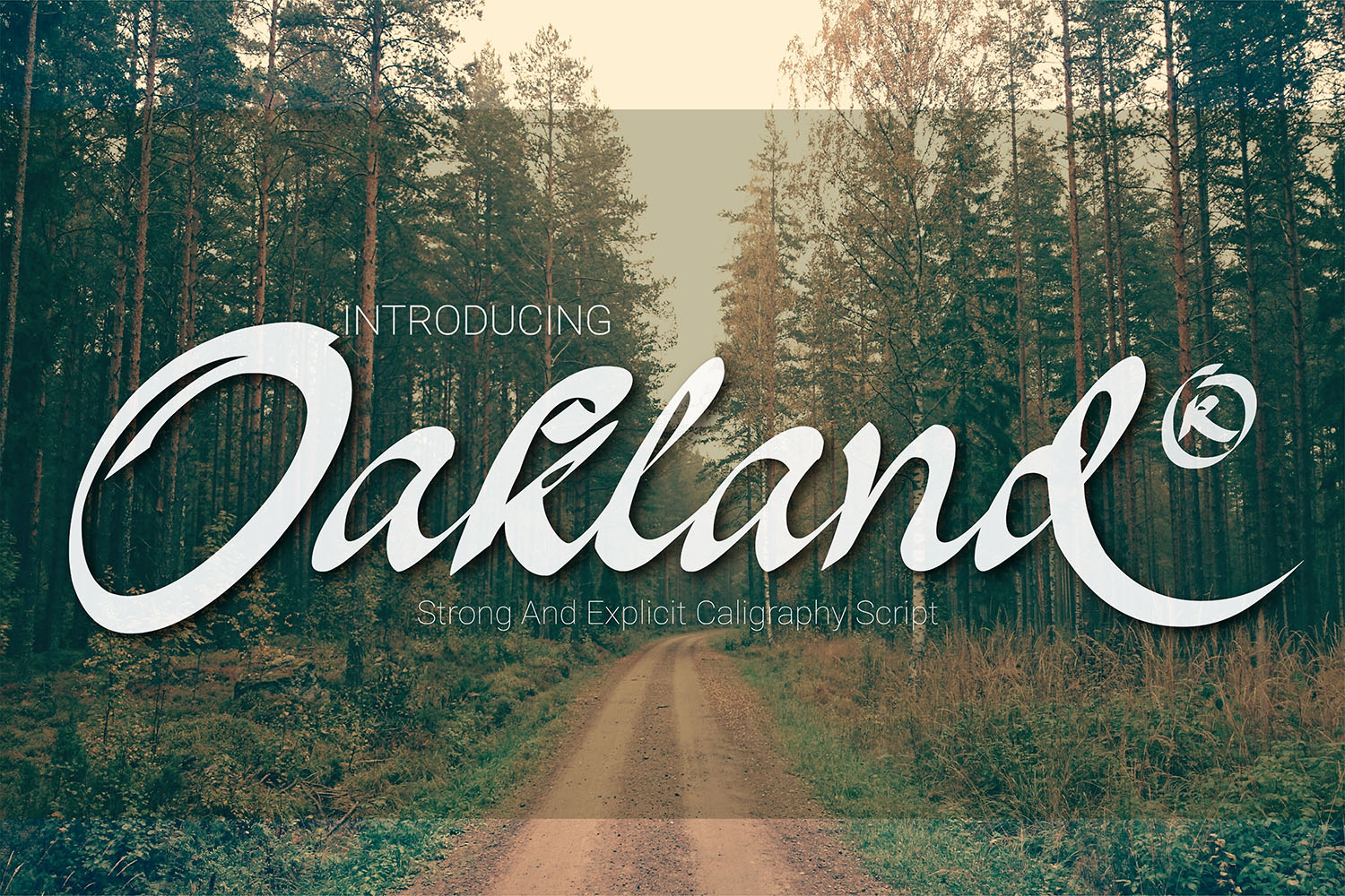 Oakland Font, Webfont & Desktop