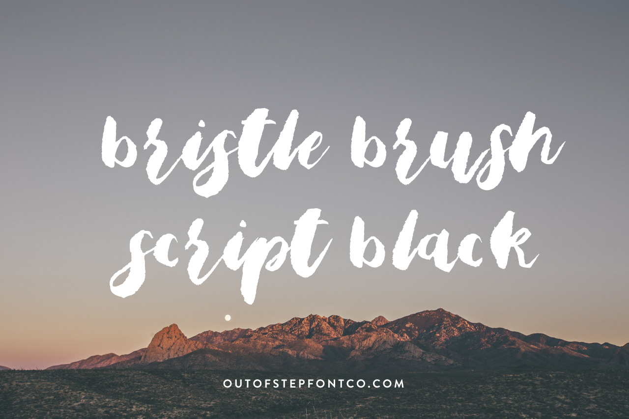 Bristle Brush Script Demo Font | Designed by Out Of Step Font Company